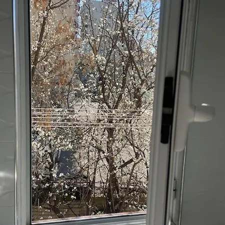 Apartman Warm In The Center Of City
